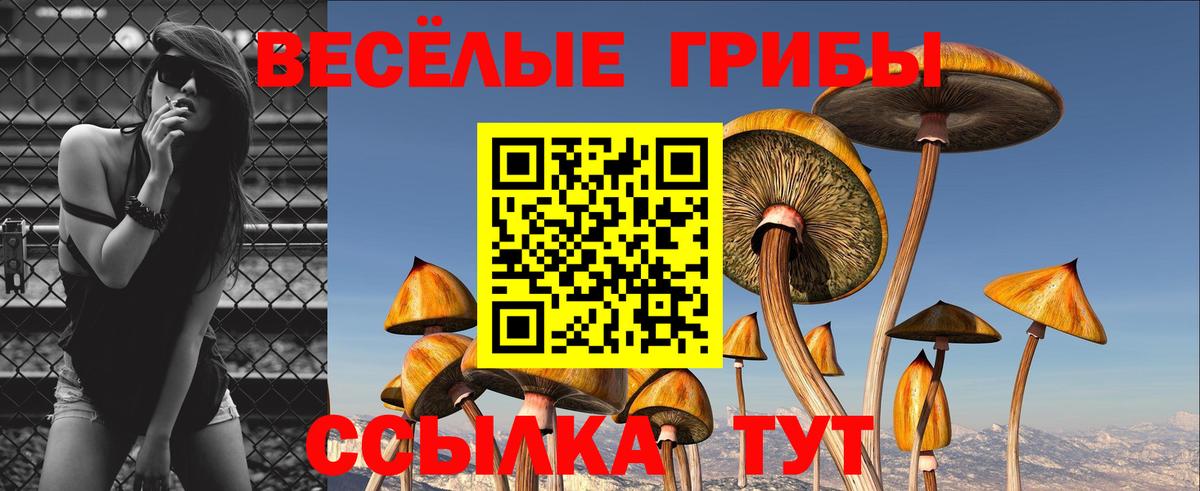 Энгельс  магазин  наркотиков  Вход с VPN  Псилоцибиновые грибы мухоморы  Псилоцибиновые грибы мухоморы 